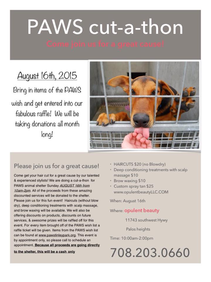 We are having a cutathon at the salon for a good cause! Haircuts, treatments, brow waxing, and spray tans will be offered at a discounted price. All proceeds go to the PAWS shelter! It's a great cause and would love to see you!