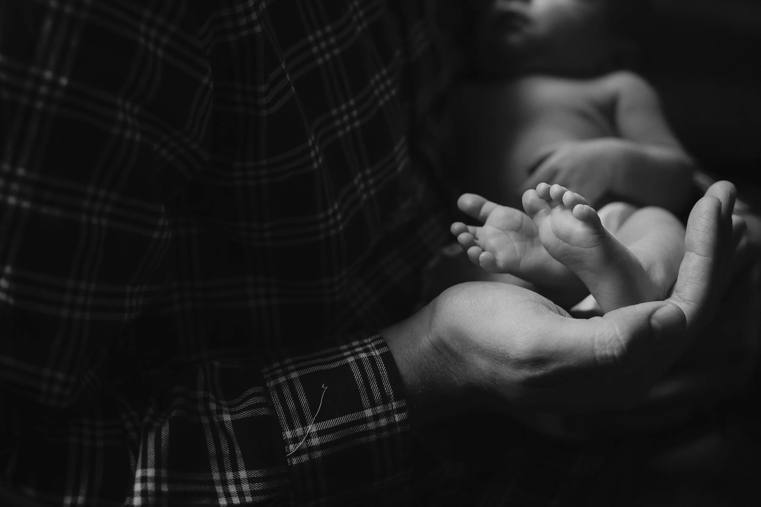 The Bergner Family | A Newborn Session | 2016