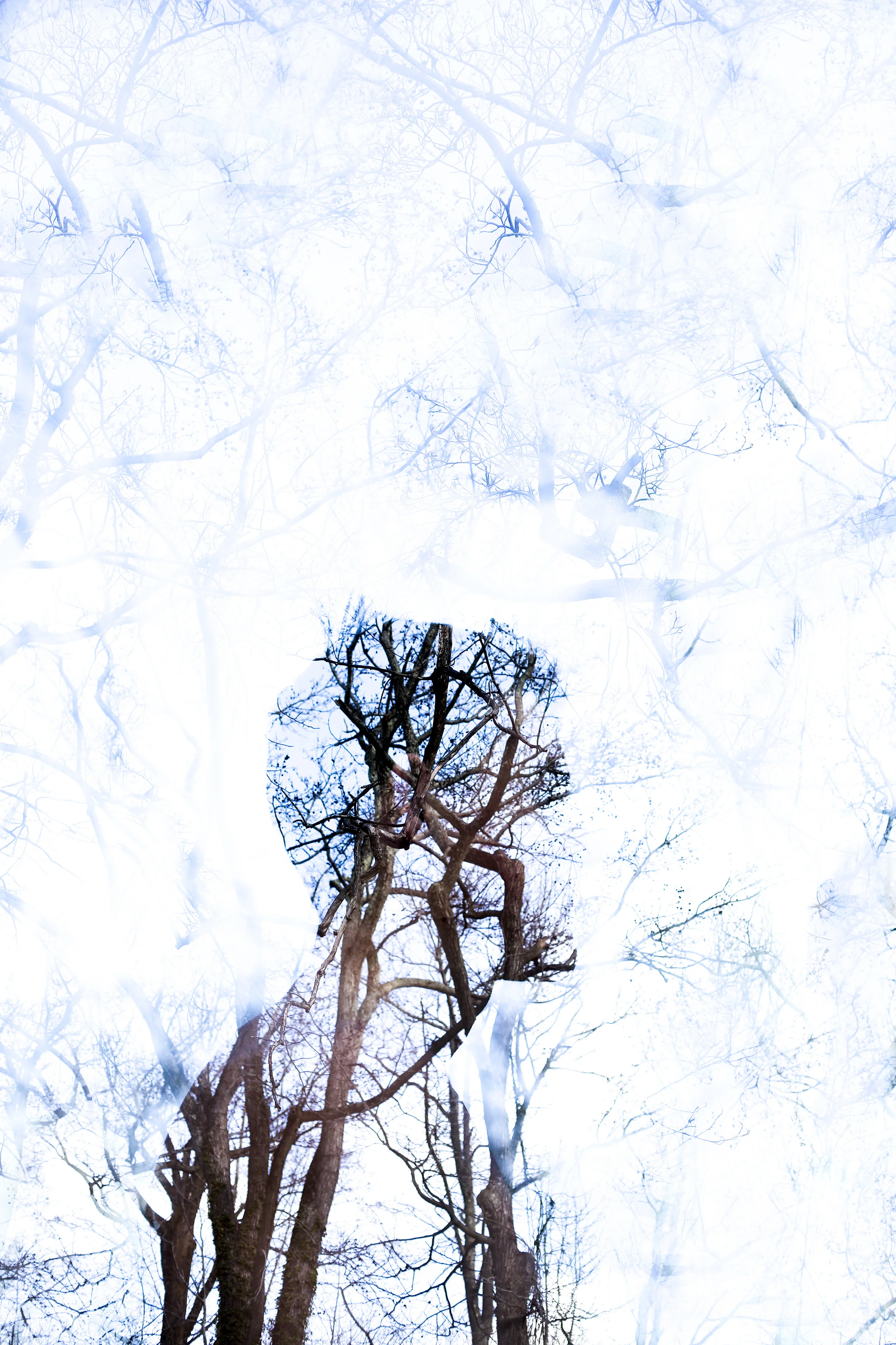 Double exposure experiment that I want to try more of.