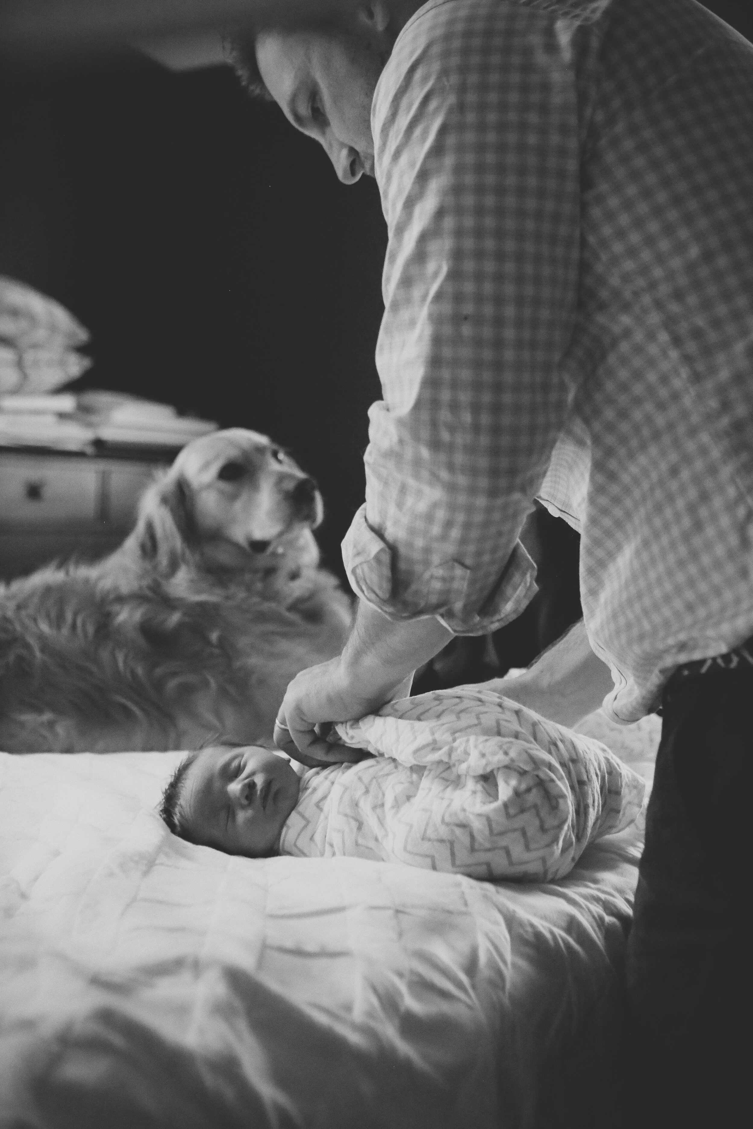 Introducing Whittington Aubrey Habeck | June 2018