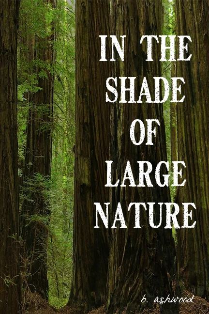 shade-ashwood.jpg