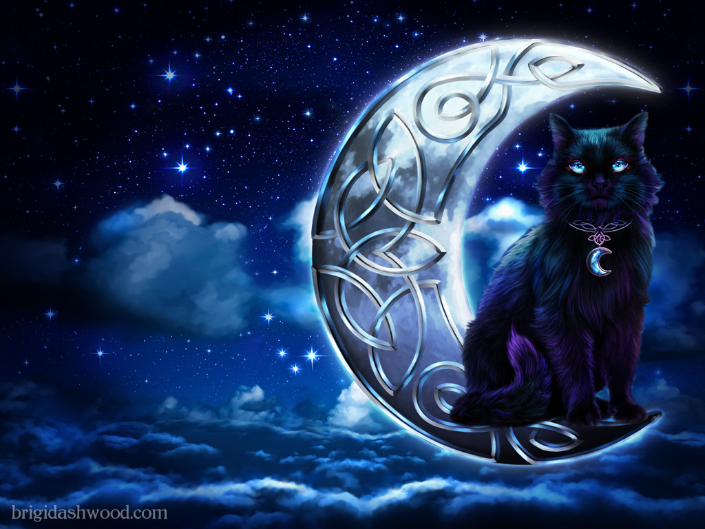 Midnight Moon Black Cat