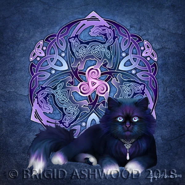 Celtic-Black-Cat.jpg