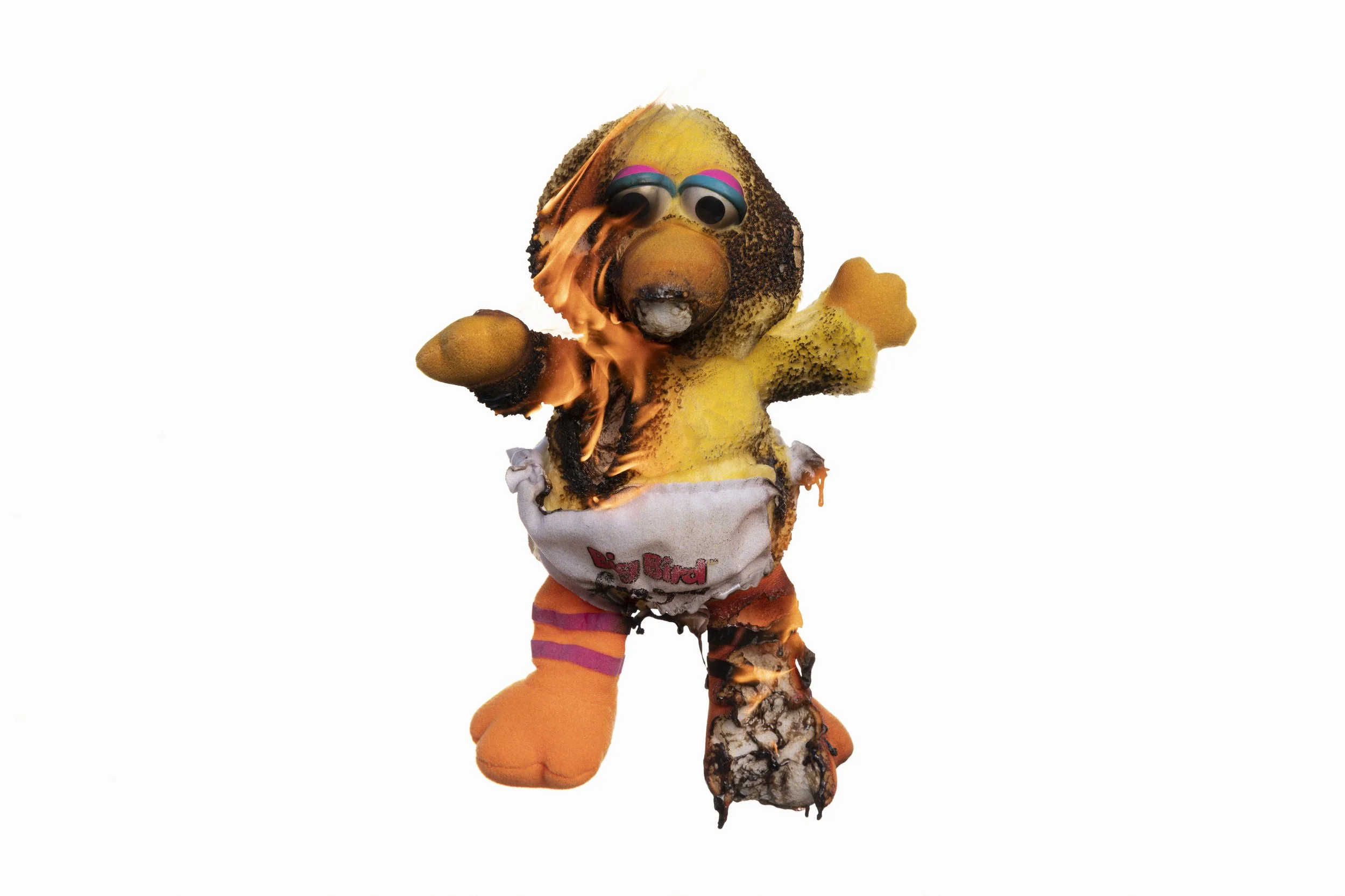 BigBabyBird_1L2A9033.jpg