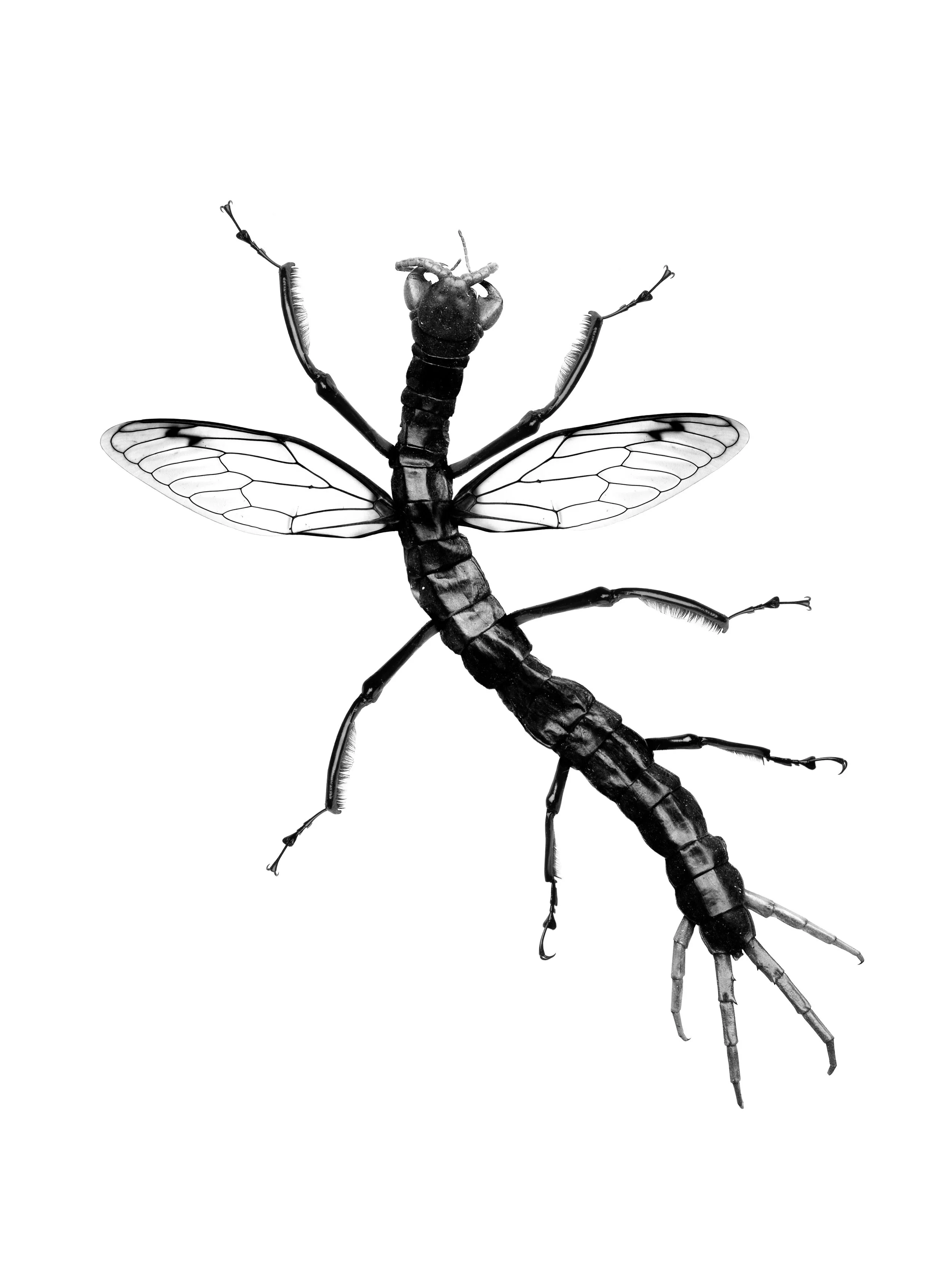 Compatibility #4.jpg