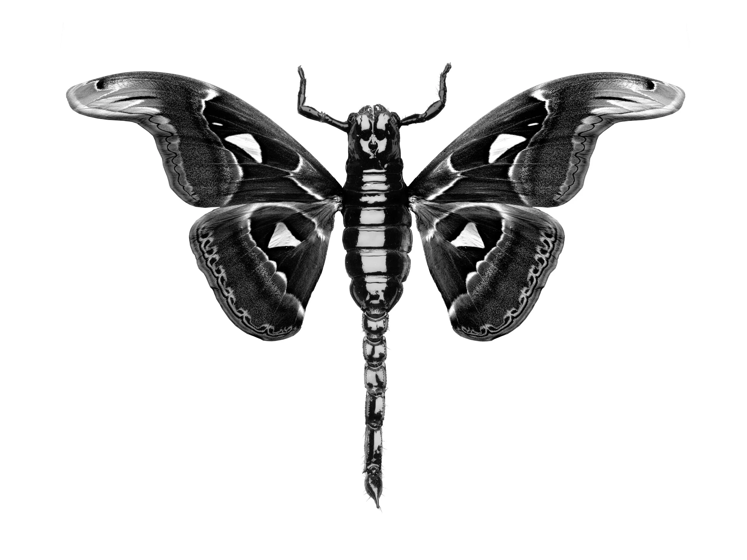 Compatibility #7.jpg