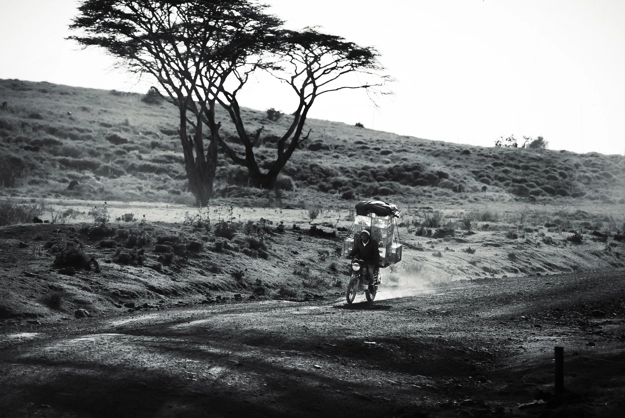 KY_DSC04756 copy.jpg