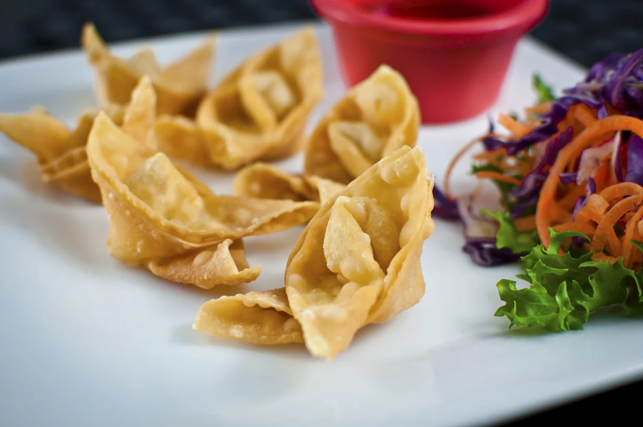 A5 CRISPY CHICKEN WONTONS