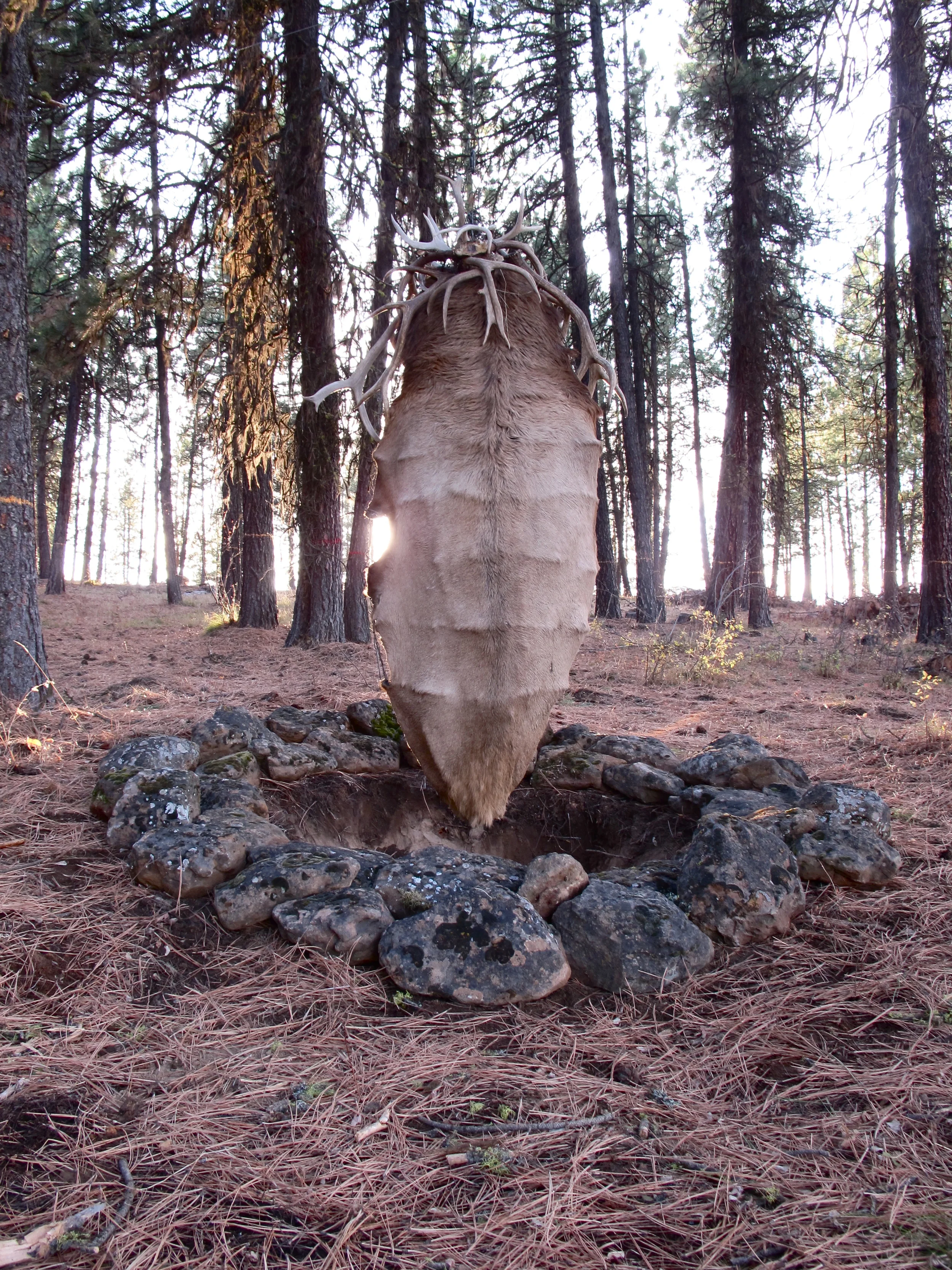 Envisioning Oblivion, 2012