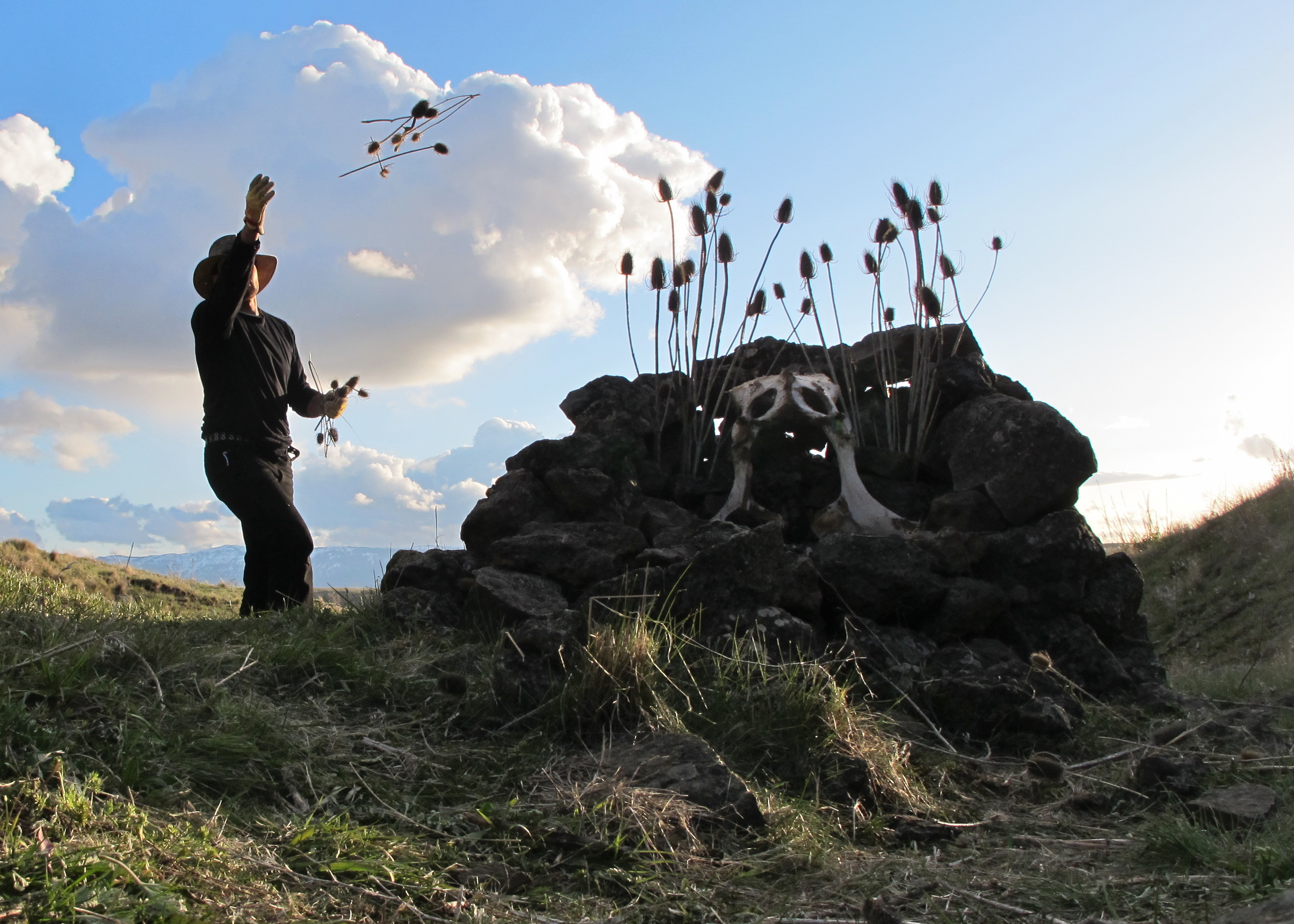 Winded Weeds have grown under My Skin, 2013