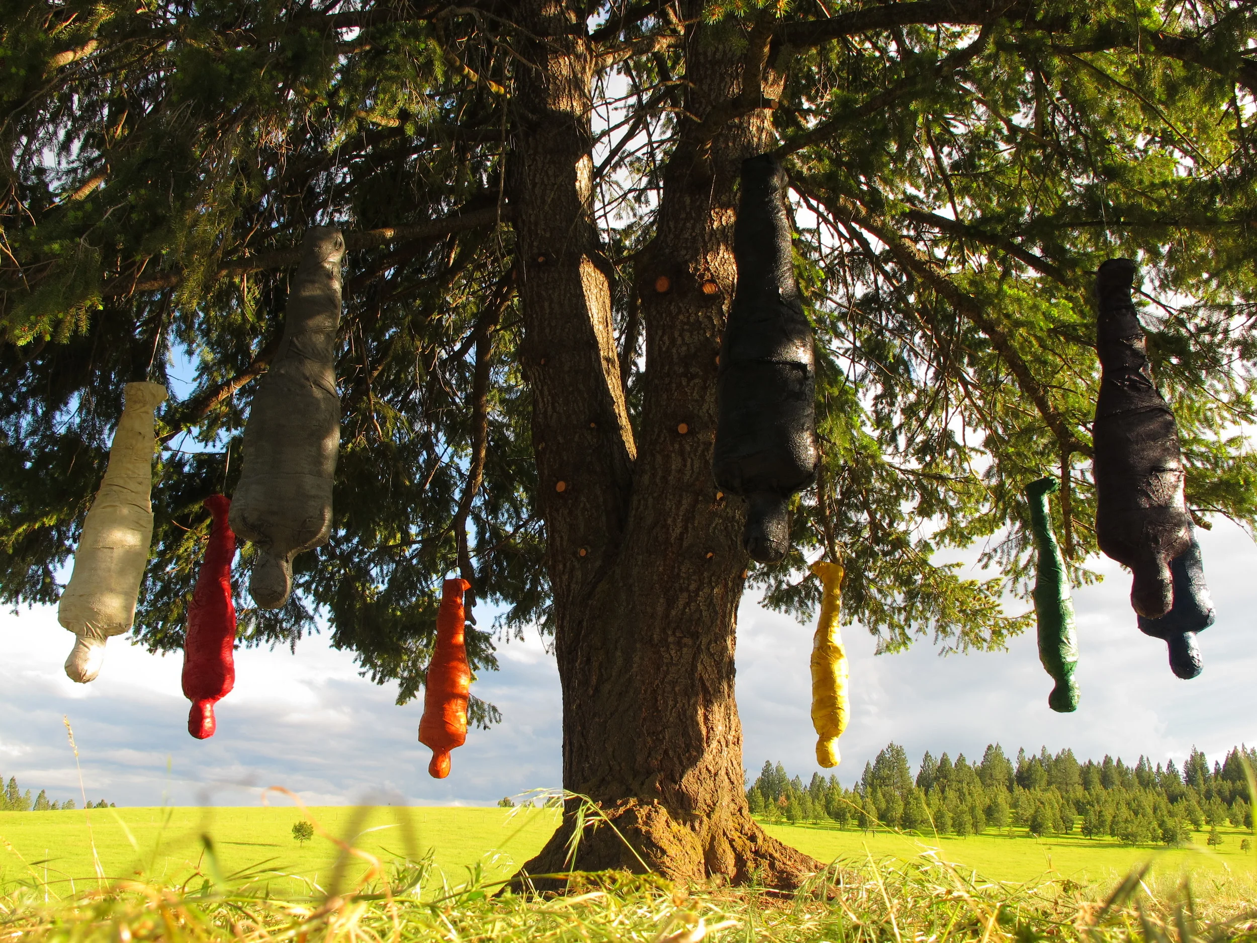 Seeds of Change, 2013