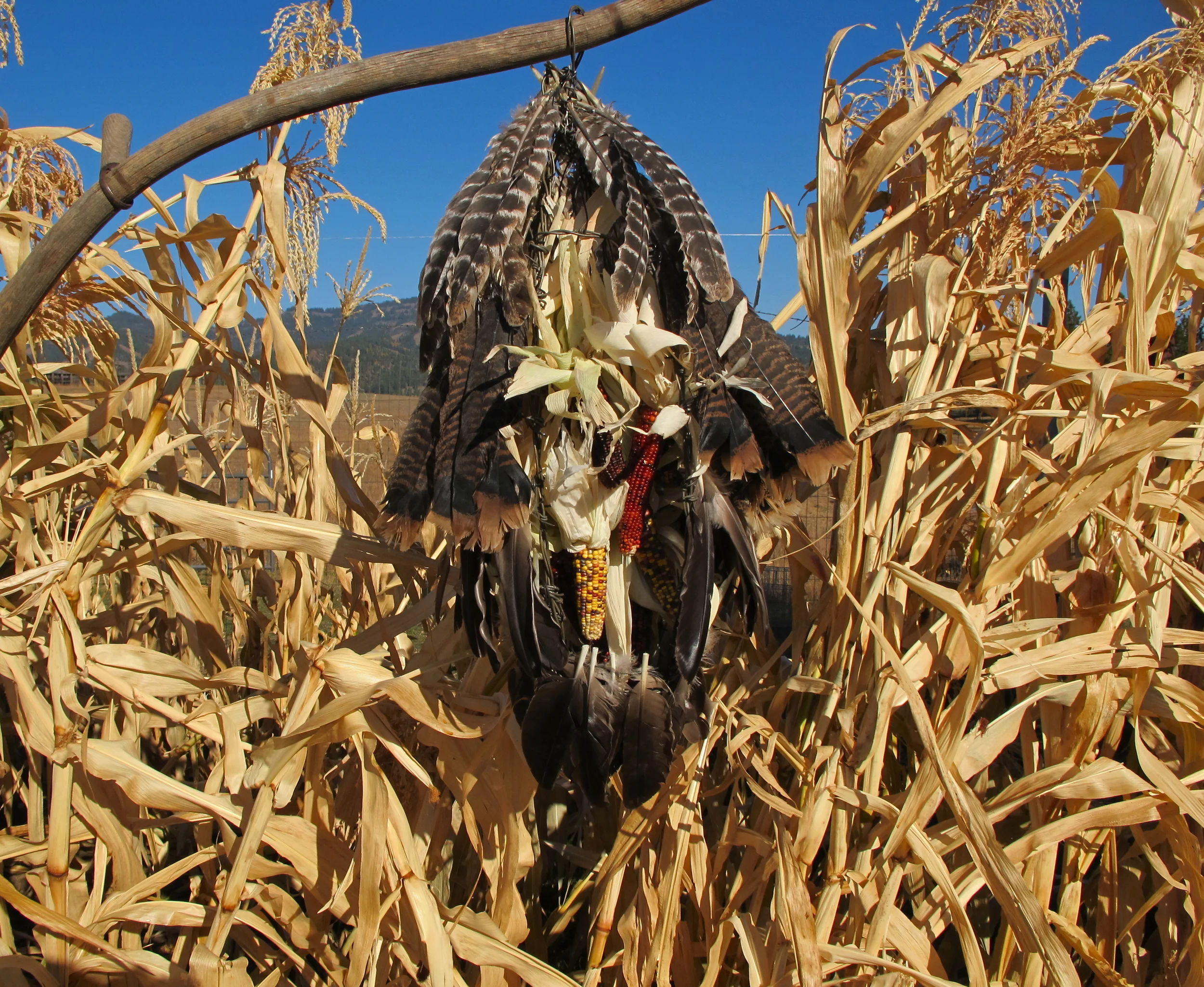 What will We eat?, 2013