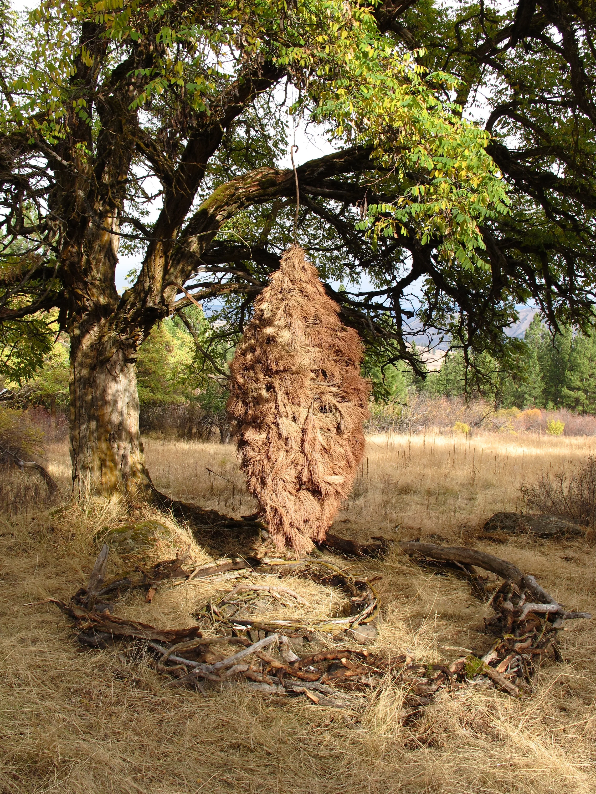 Fall Hibernators, 2013