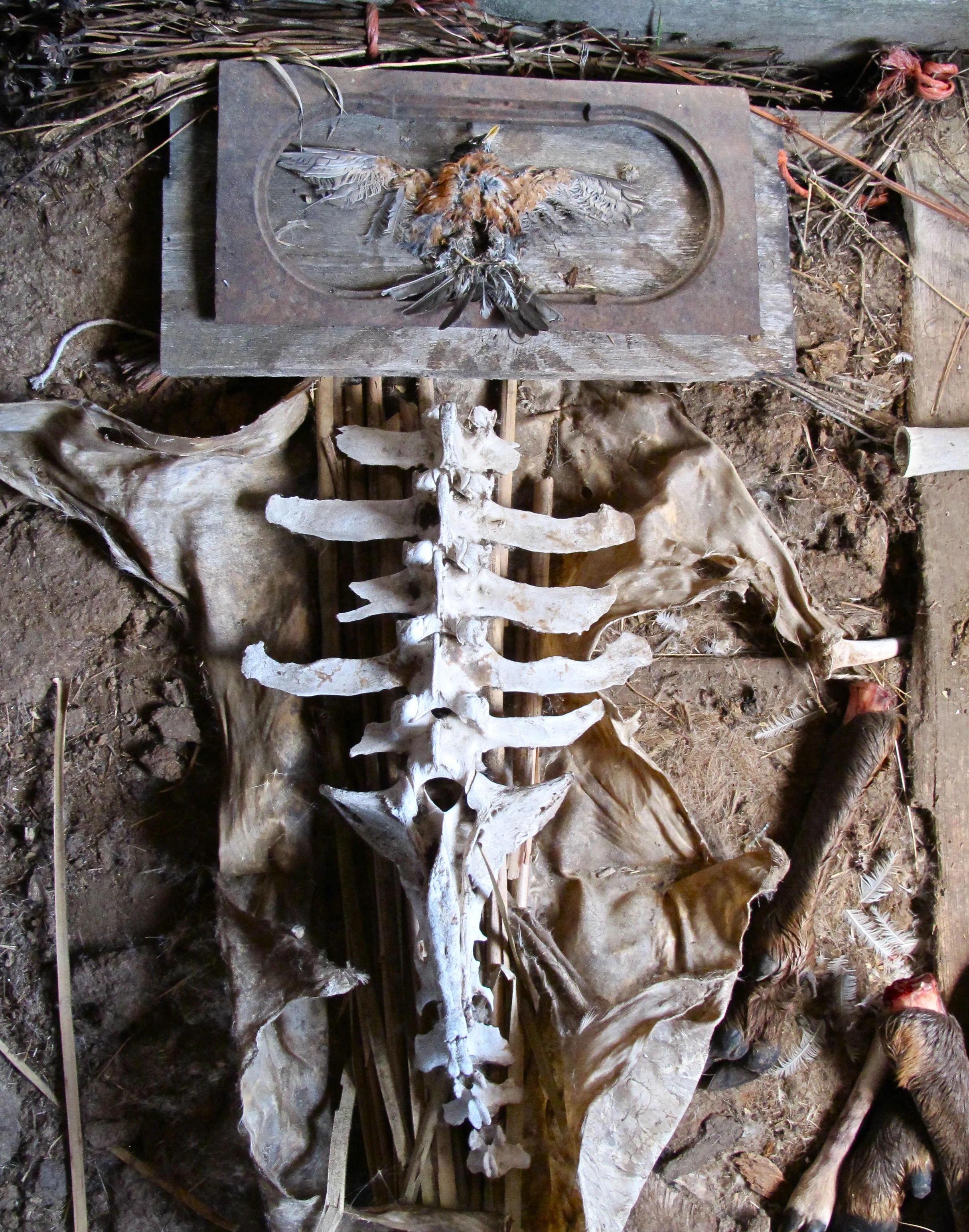 I kissed a Breeze, 2016