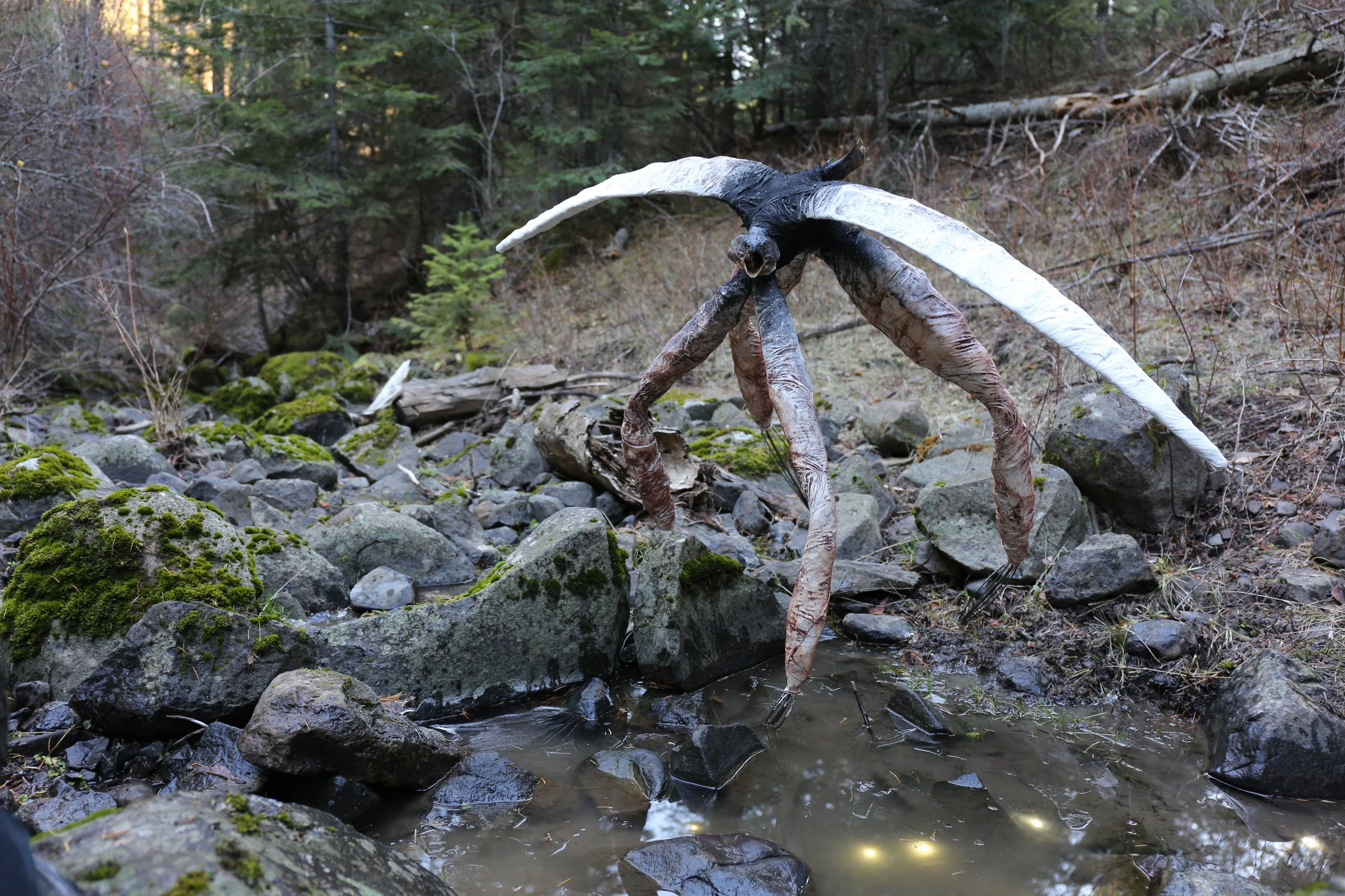 A Brood Down the Pike, 2018