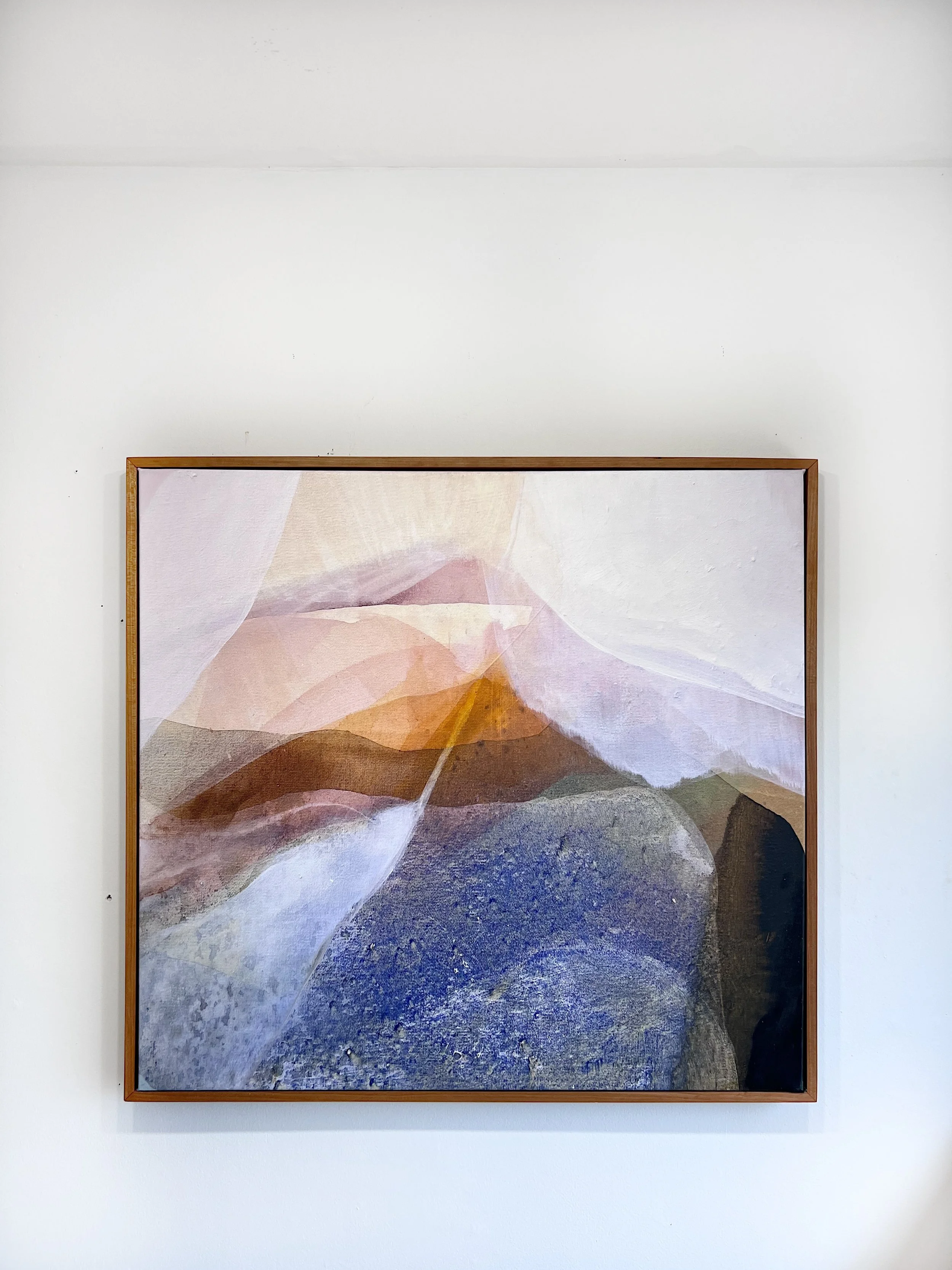 The Dogtown Canvas Print framed and mounted on a white wall.