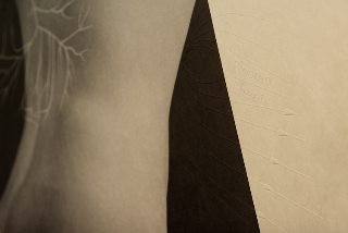 Several months ago a customer bought up all our most expensive and highest quality paper we offer, and requested more...that peaked my curiosity. What is she doing with all this amazing paper?