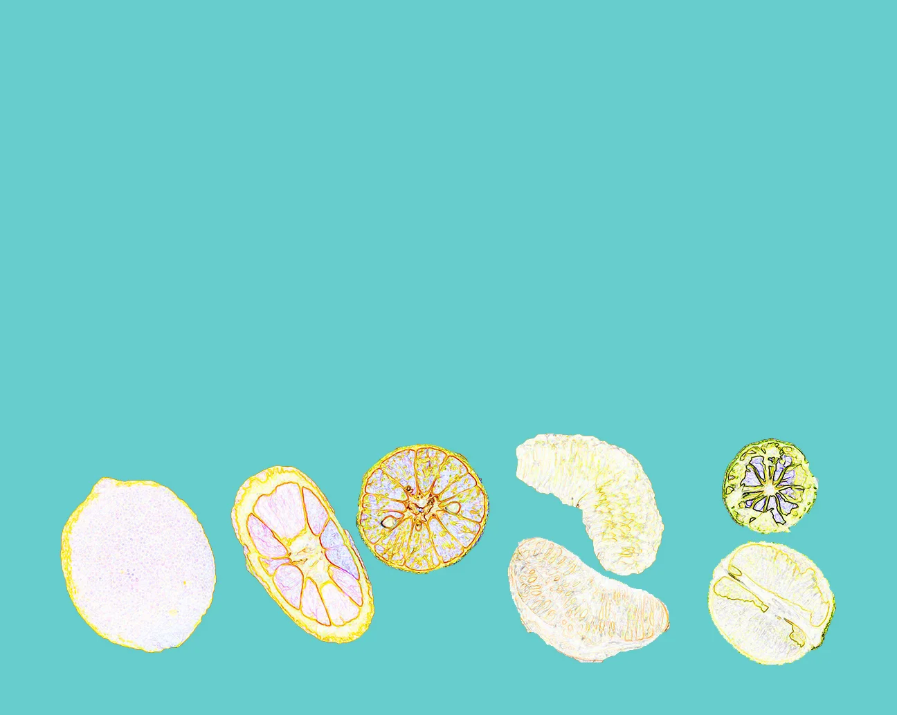 Background_09.jpg