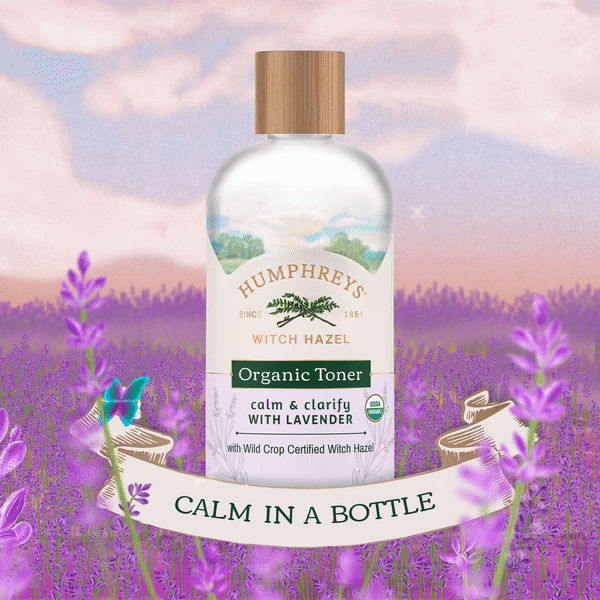 Lavender Square Gif.gif