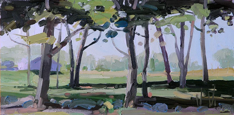 barn view through the trees