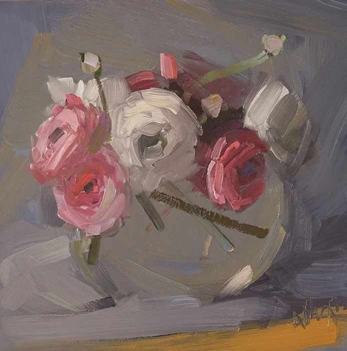Pink and White Ranunculus
