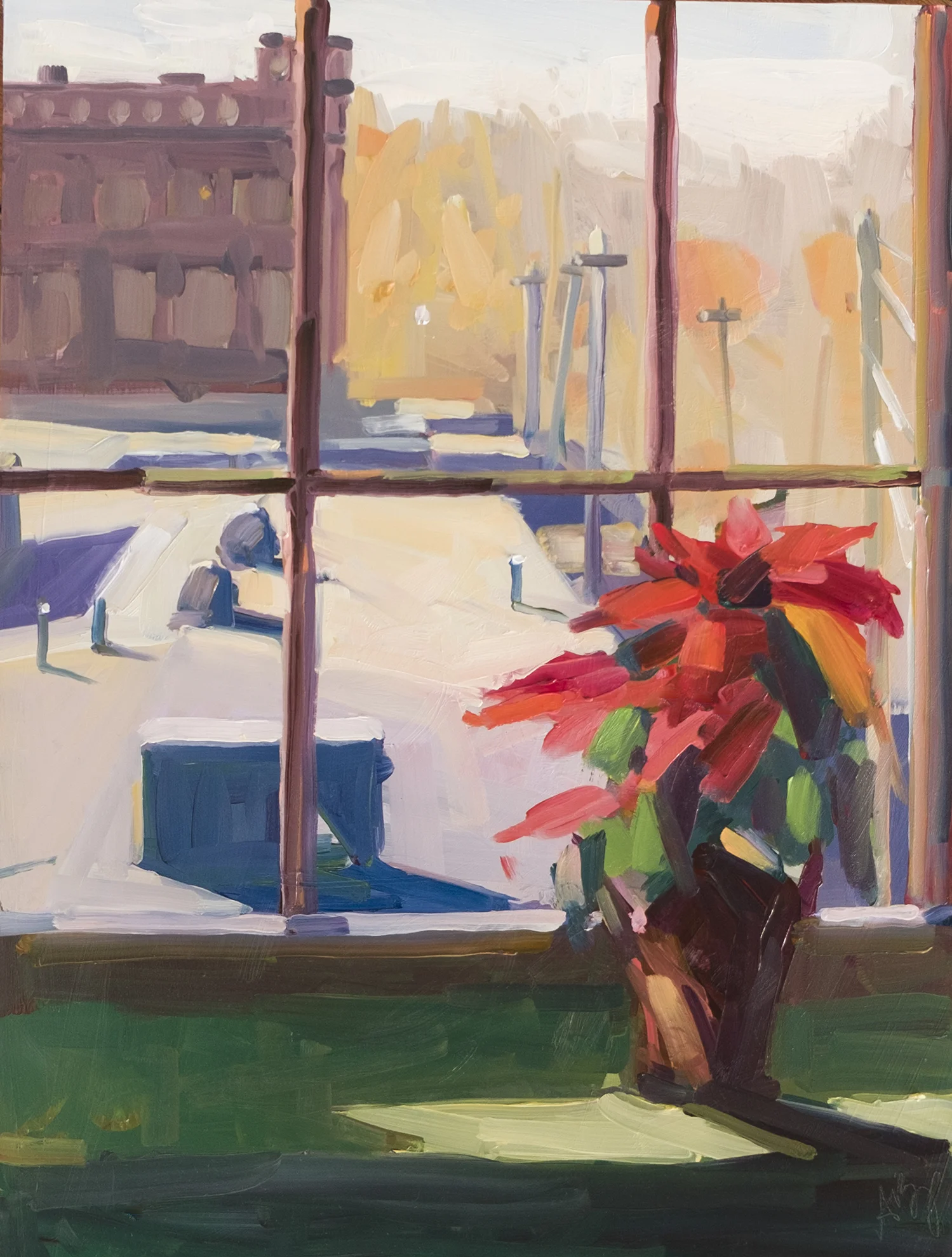 Pointsettia, December Afternoon