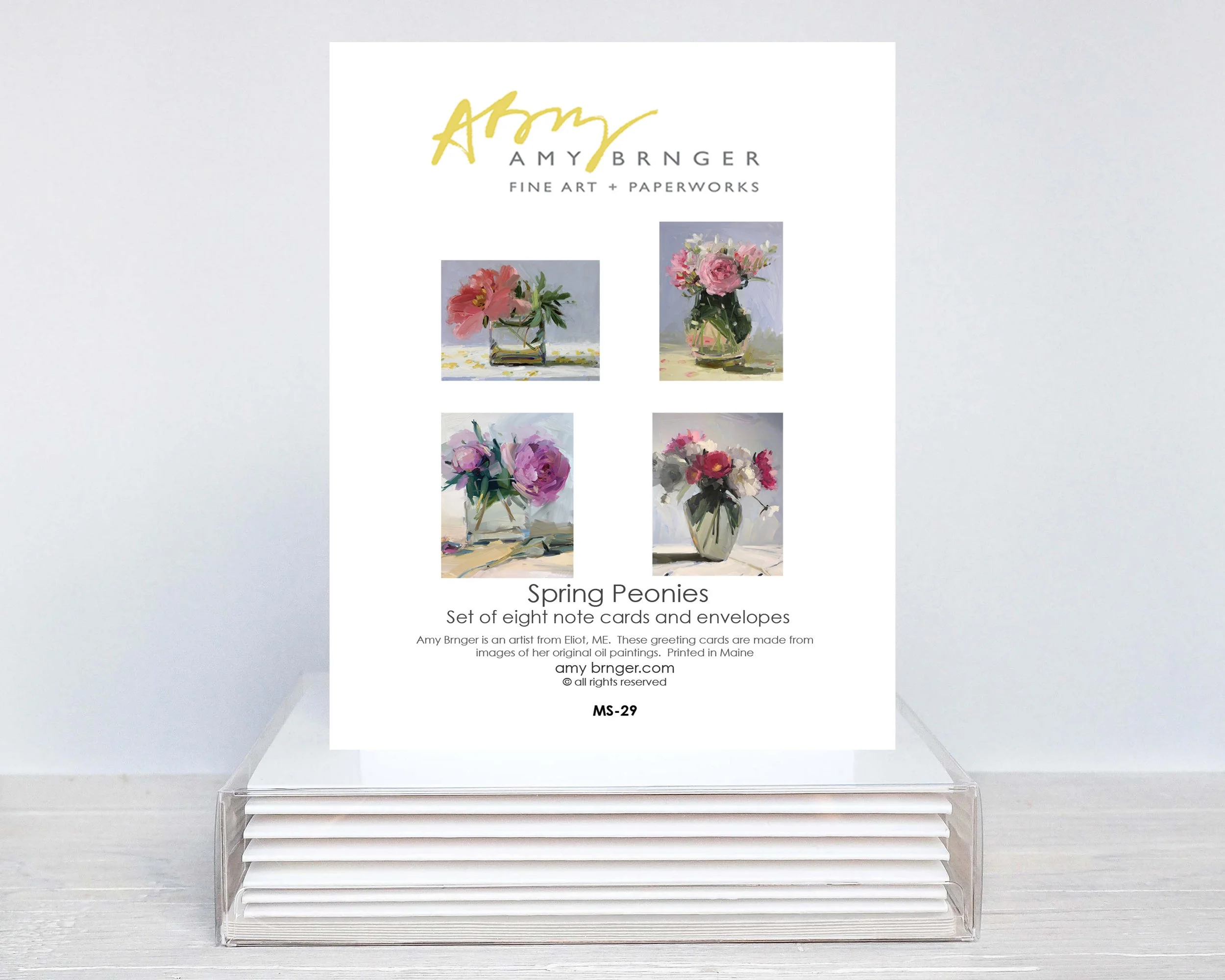 MS-29 Boxed Set MU.jpg