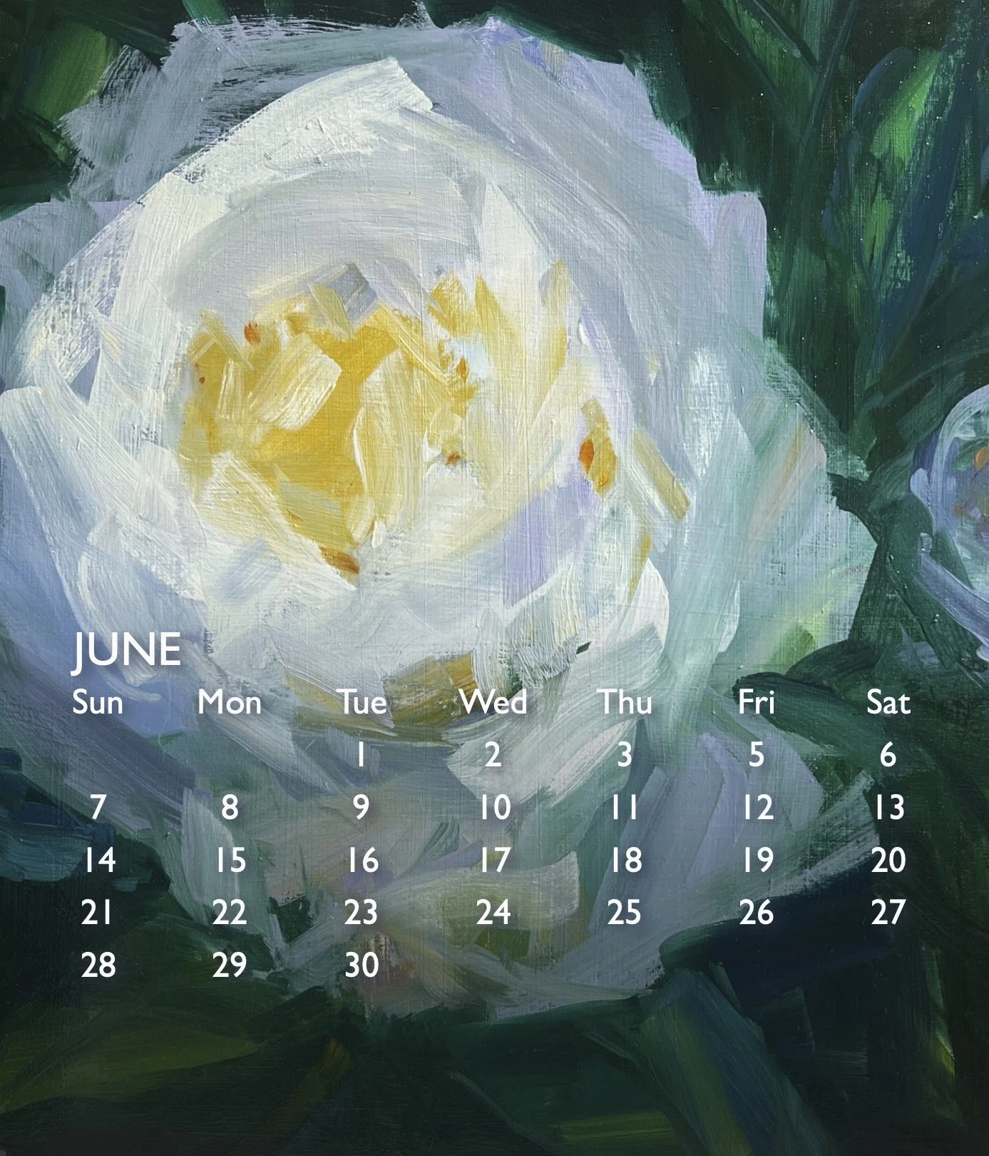 2027 Amy Brnger Calendar june.jpg