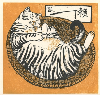 lazy cat