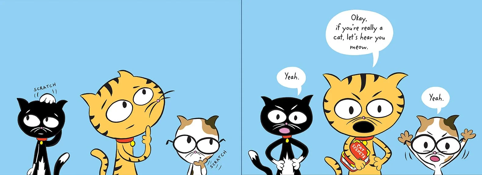 CatSecrets int.jpg