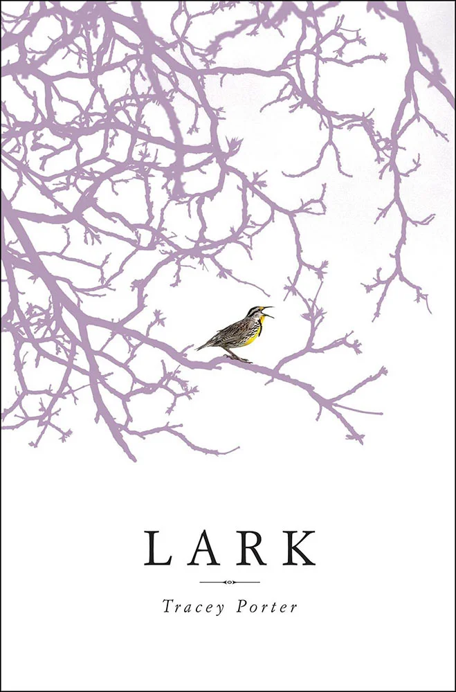 Lark small jkt.jpg