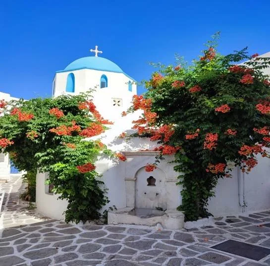 Δήμος Πάρου: Όλοι μαζί για μια καθαρή Πάρο