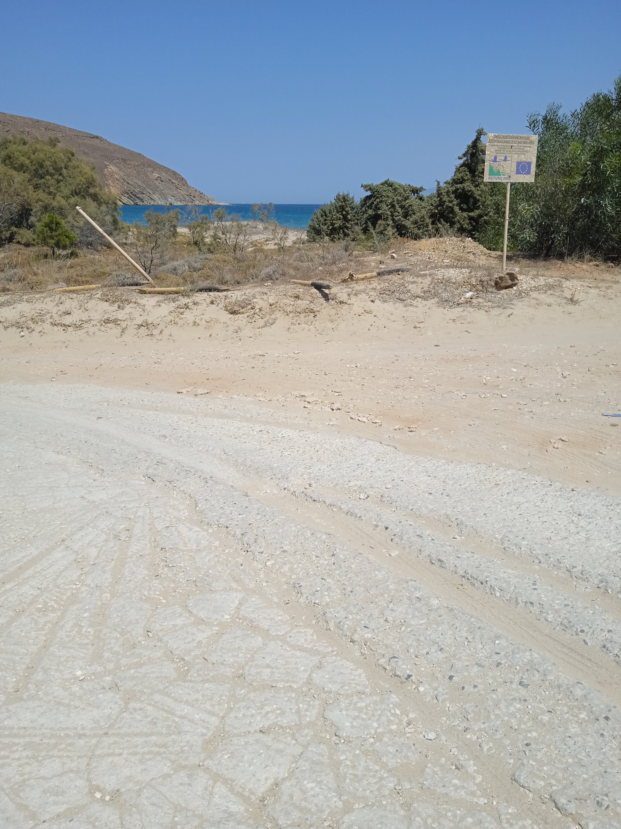 Για τον βανδαλισμό στον Μώλο