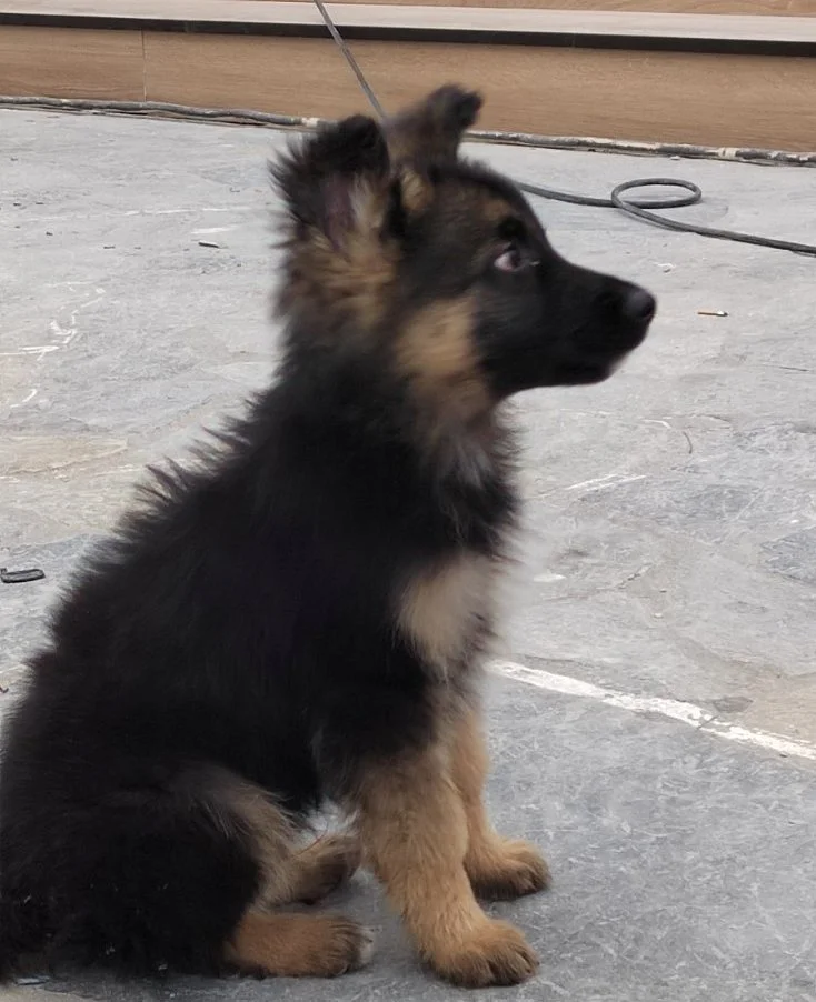 Είναι μικρός, αλλά θα γίνει θαυματουργός! 