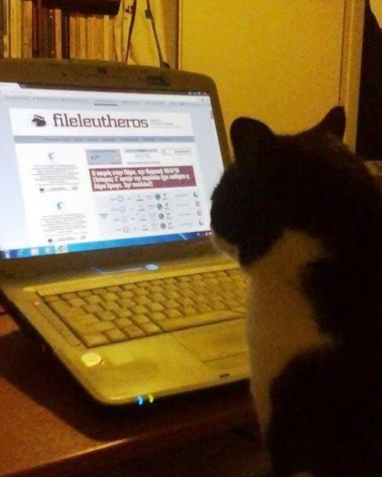 Ποια θέματα διάβασαν περισσότερο οι αναγνώστες του «F» τον Μάιο 2023