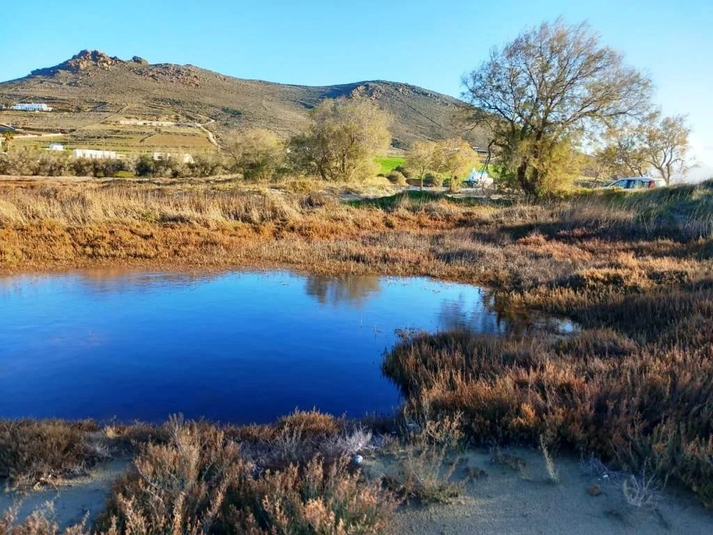 Υγροβιότοποι Πάρου | Της Ελ. Κυριαζάνου 