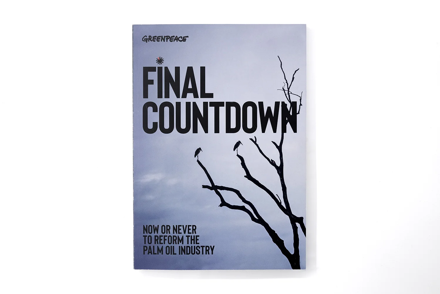 Greenpeace_FinalCountdown_Report_Cover.jpg