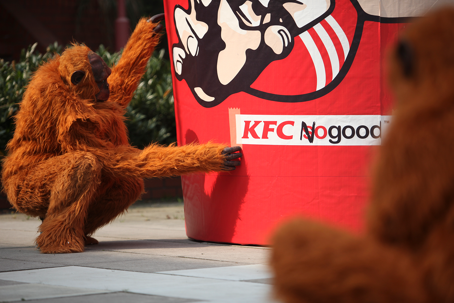 Campaign_Greenpeace_Forests_KFC_NoGood.png