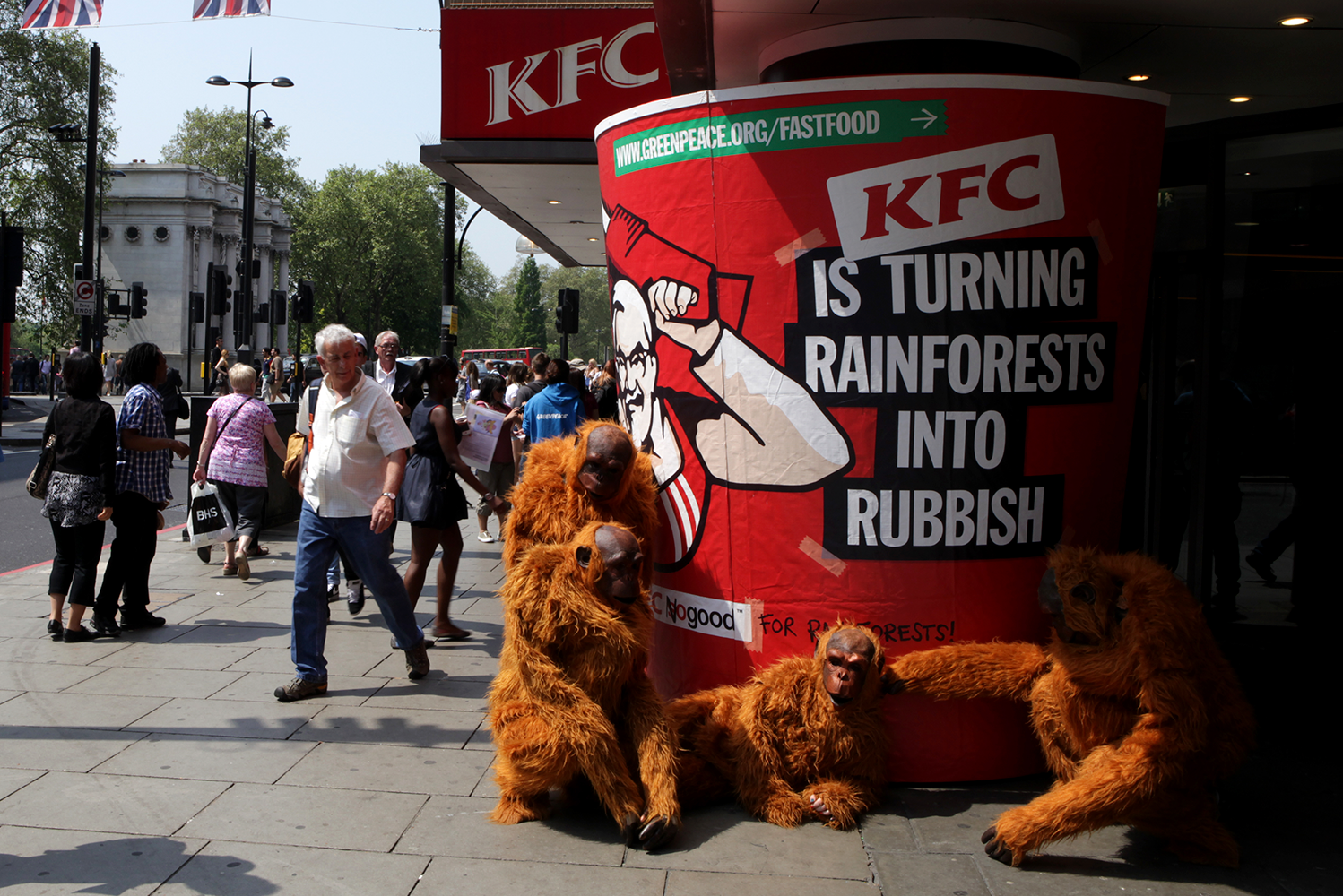 Campaign_Greenpeace_Forests_KFC.png