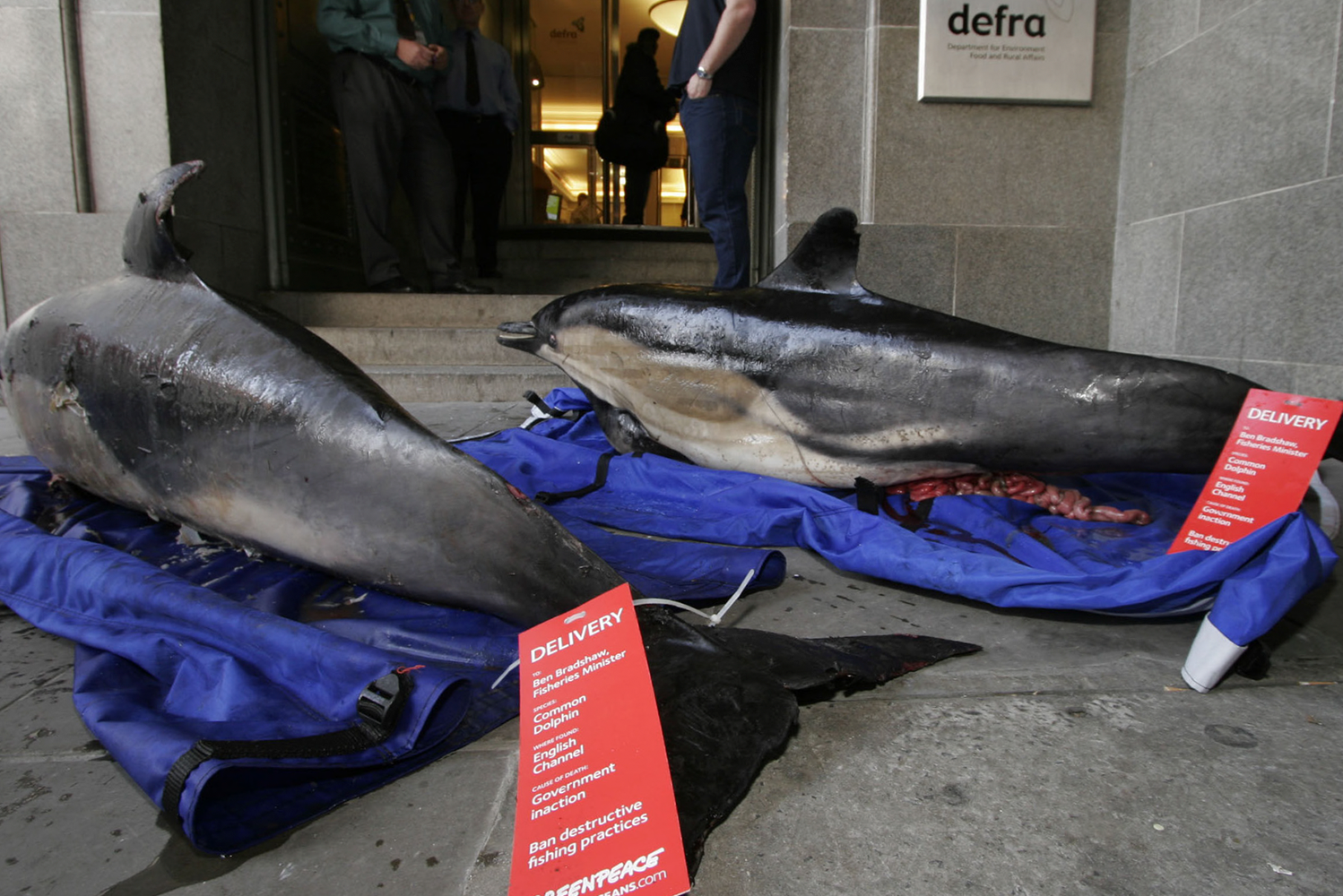 Campaign_Greenpeace_Oceans_DeadDolphin_BodyTag.png