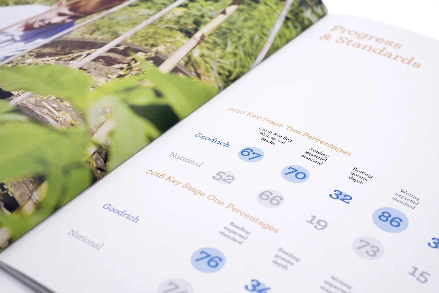 Goodrich_17_Prospectus_Progress_closeup.jpg