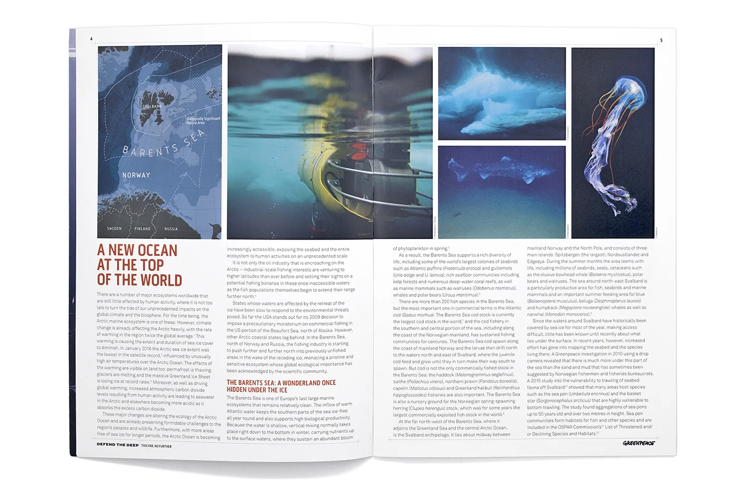 Greenpeace_Report_Arctic_1.jpg