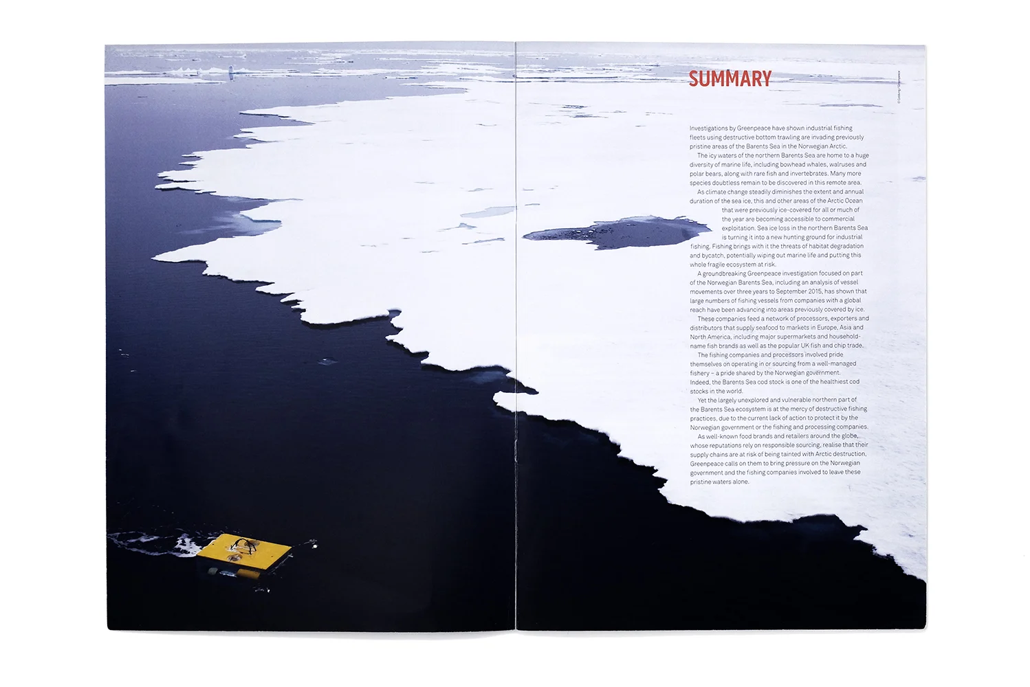 Greenpeace_Report_Arctic_Summary.jpg