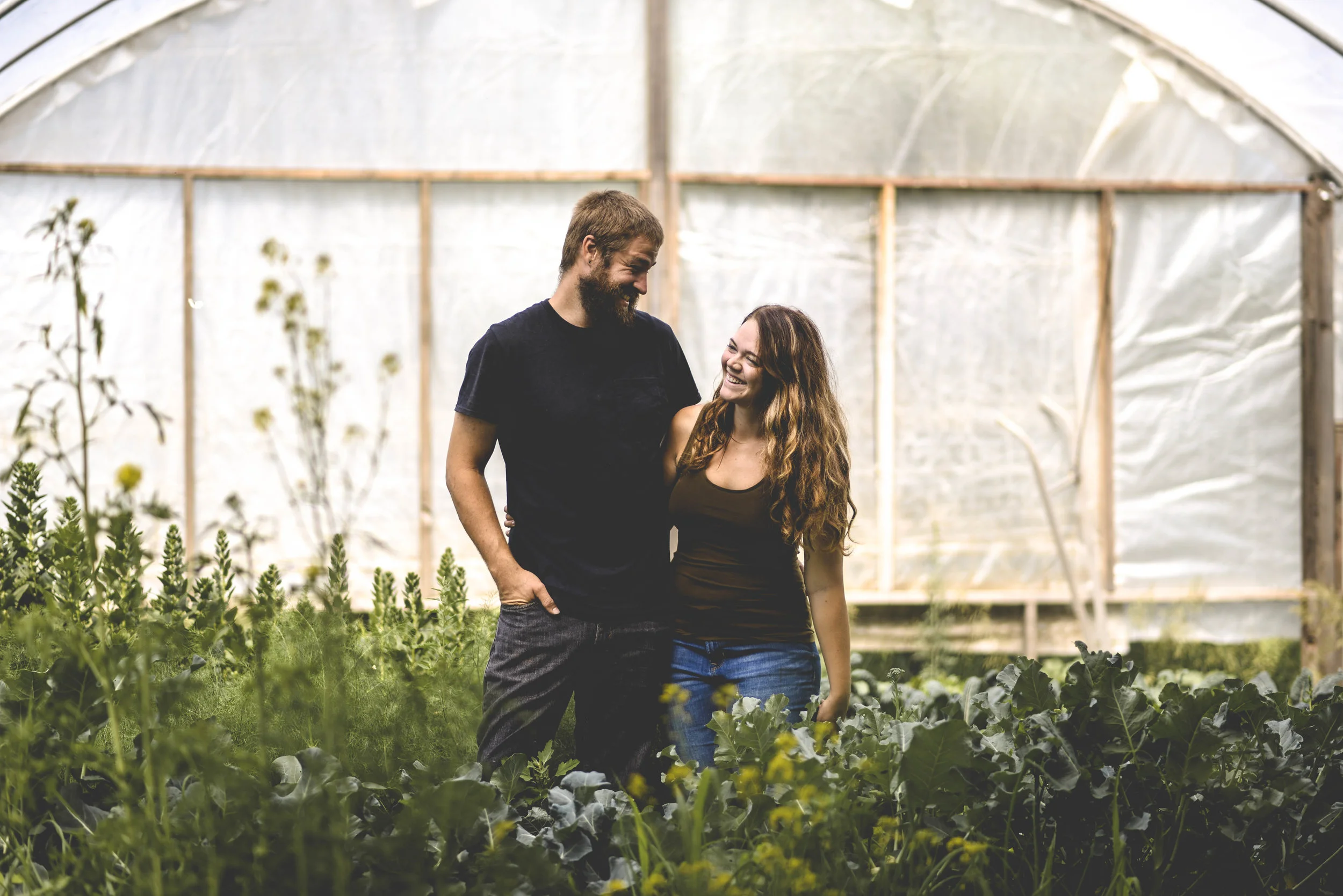 Forager Farm- Streeter, ND Jonathon + Hannah Moser