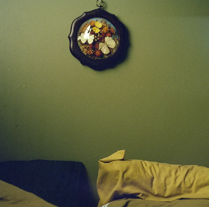 bedbutterflies.jpg