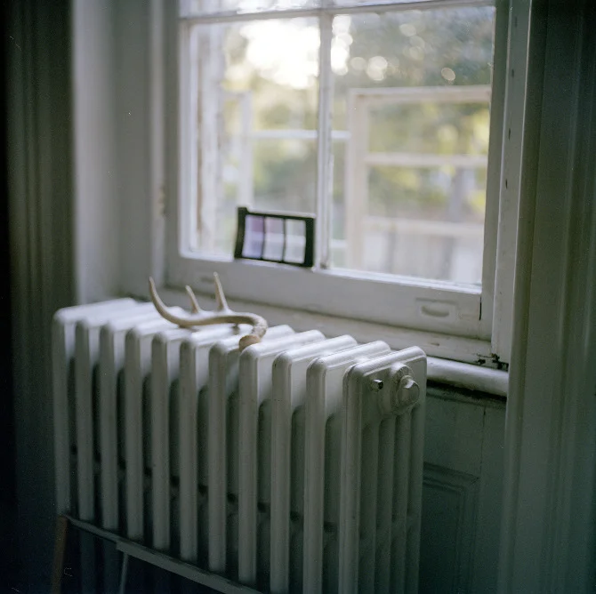 radiatorantler.jpg