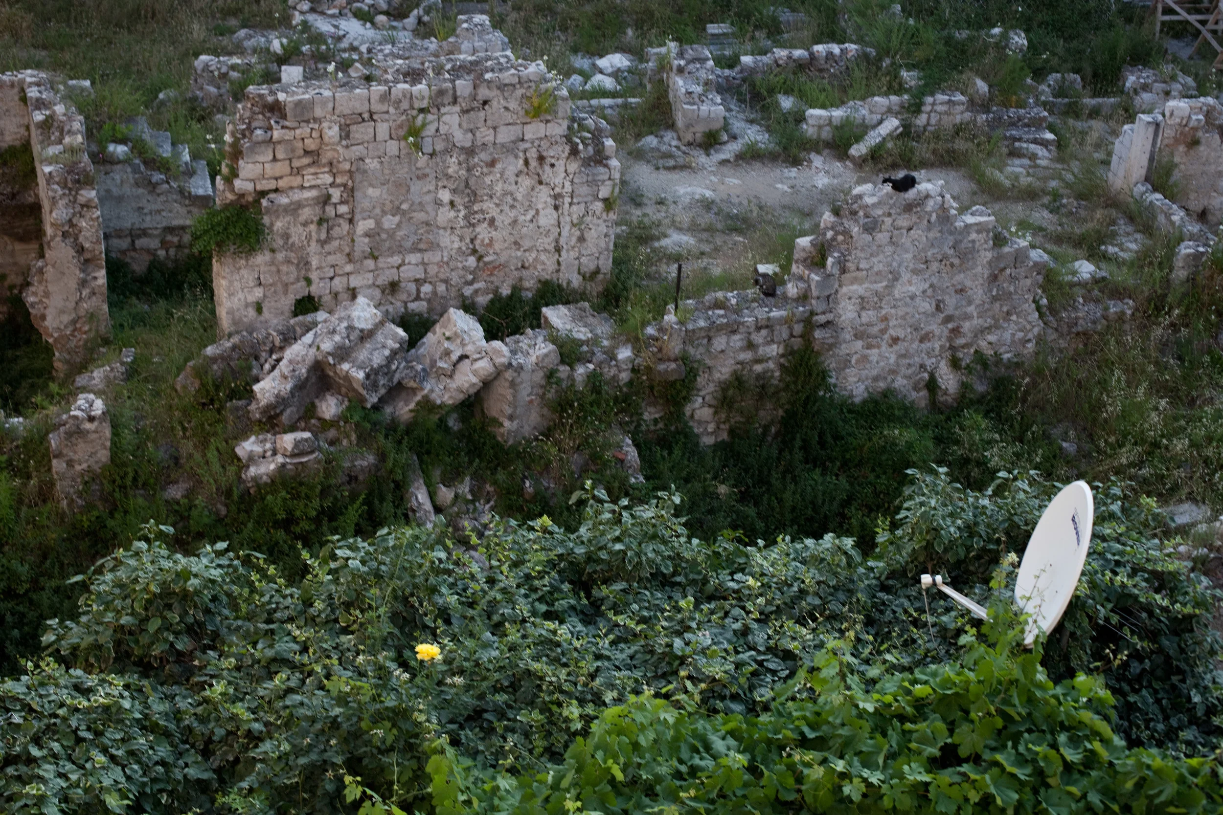 _MG_8937.jpg