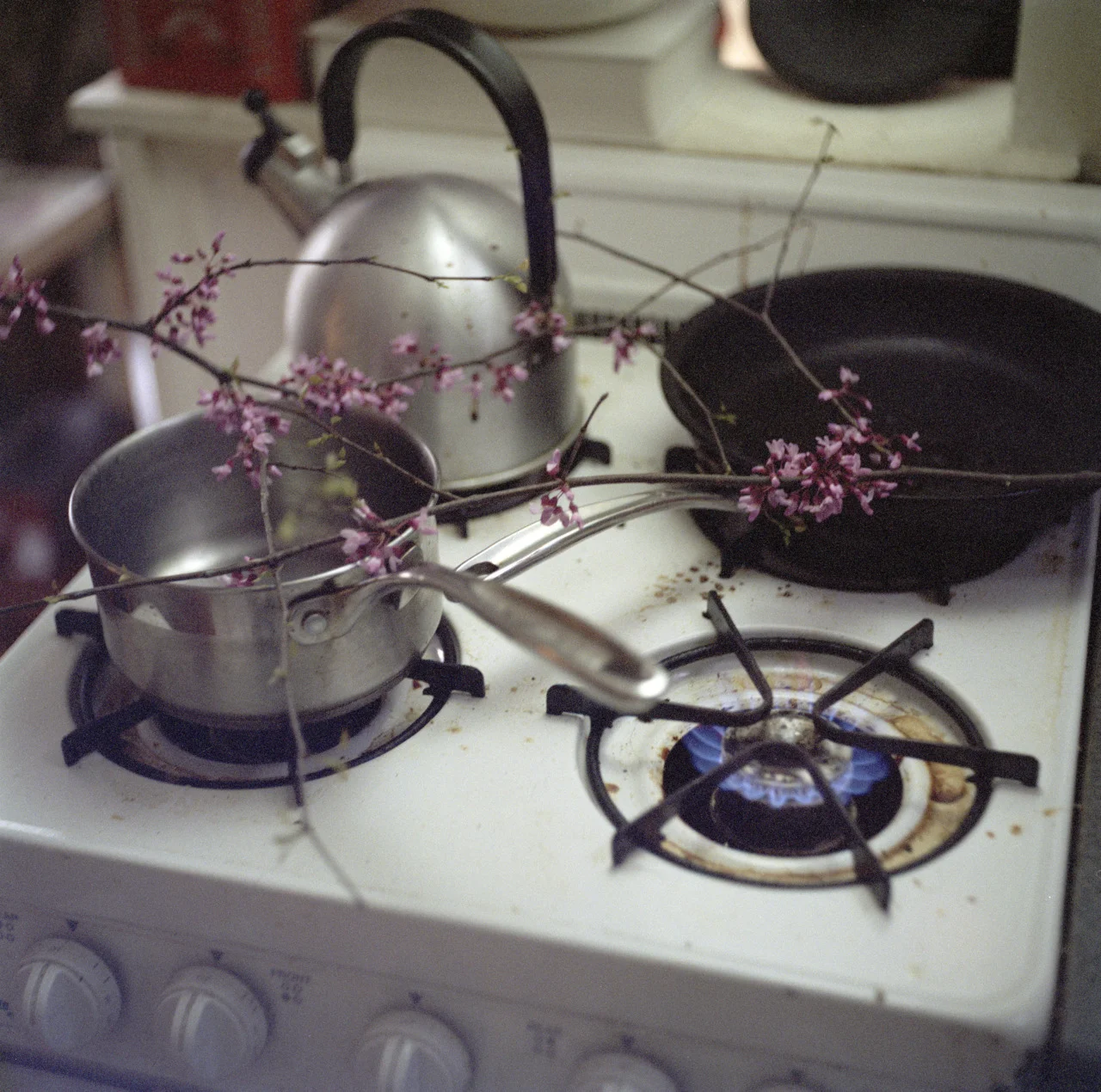 stoveflowers.jpg