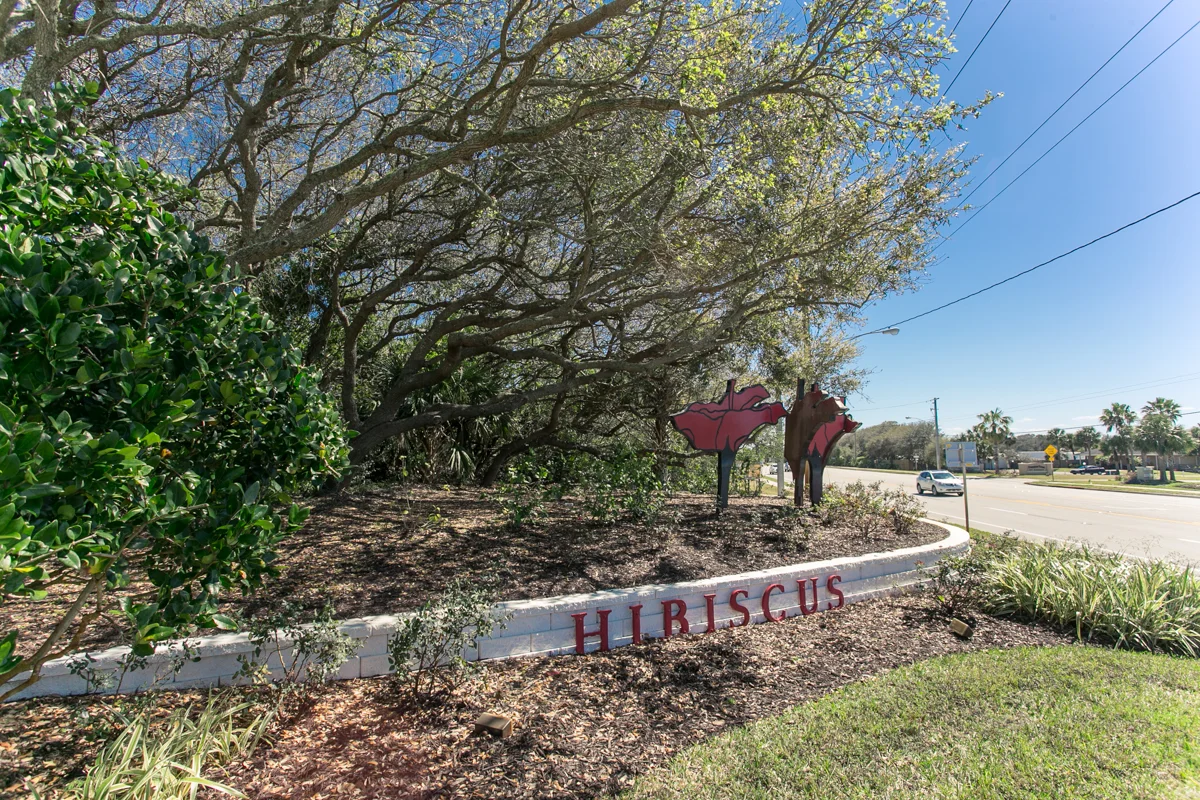 Hibiscus-f102-86.jpg
