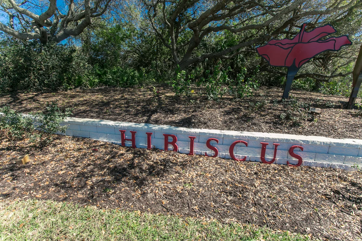 Hibiscus-f102-85.jpg